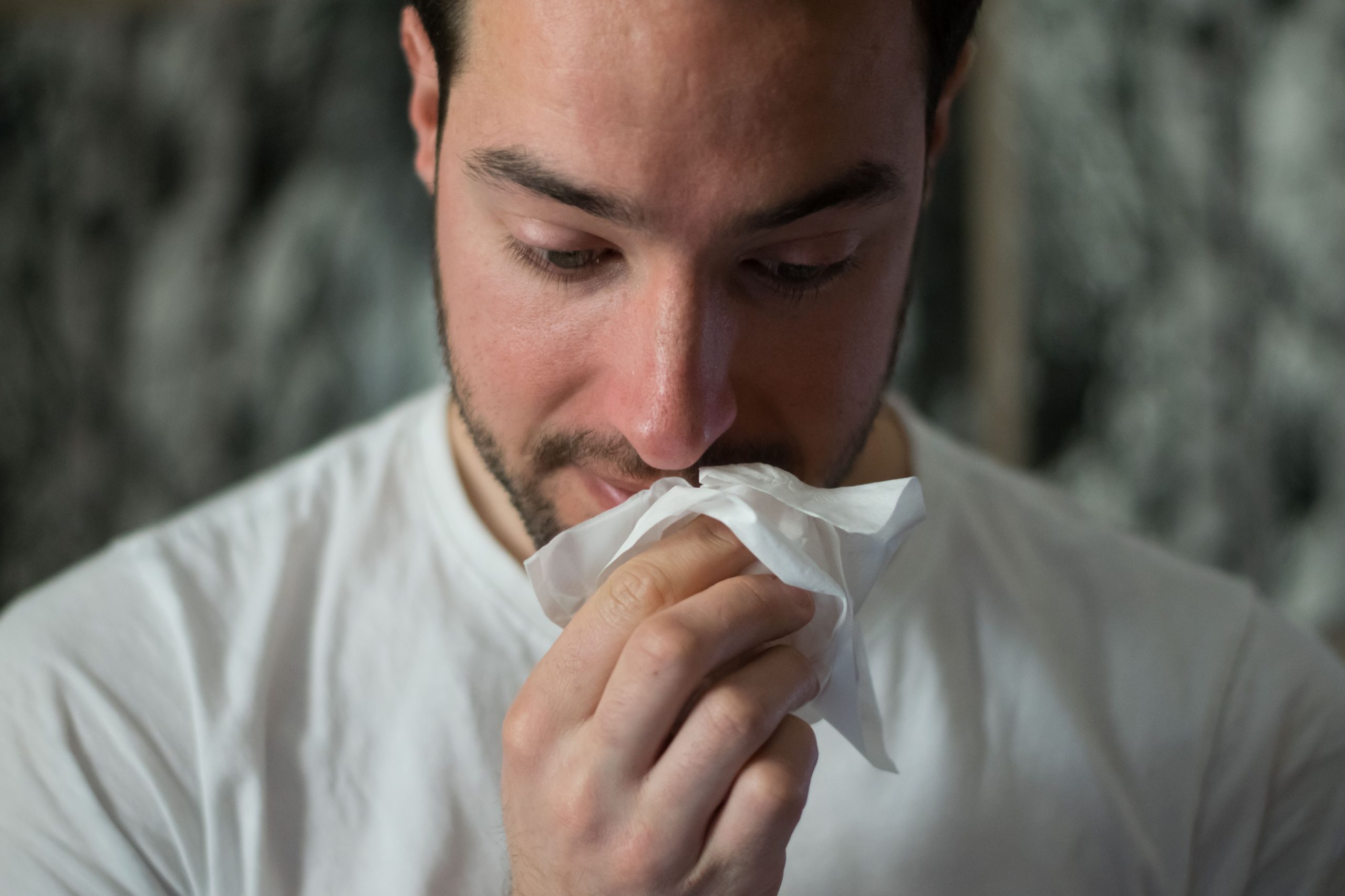 Prevenir alergias Primaver Certezza Seguros