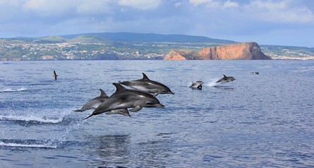 10 atividades a não perder na Ilha Terceira